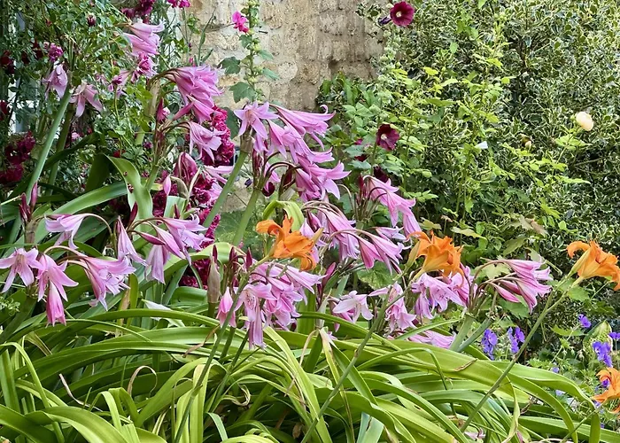 Guiting Guest House Guiting Power