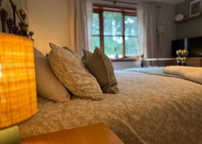 Hafan Deg Hotel Llanferres