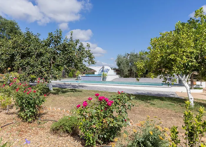 Casa los Laureles Pilas