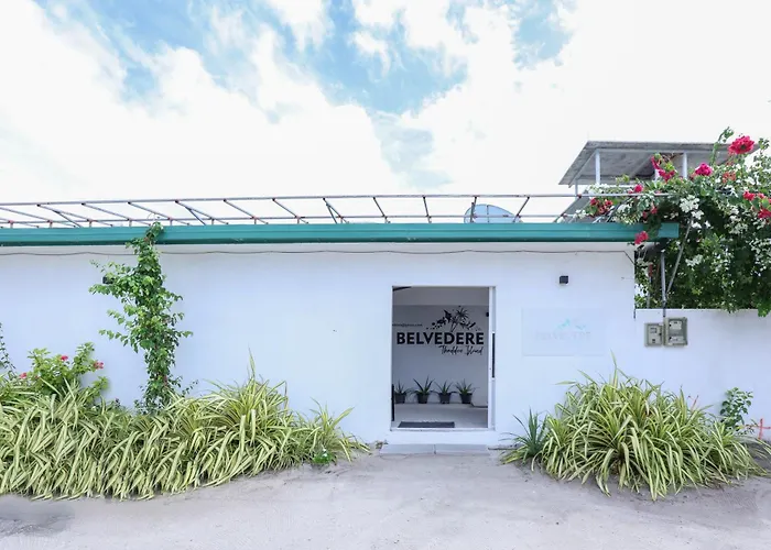 Belvedere Thoddoo