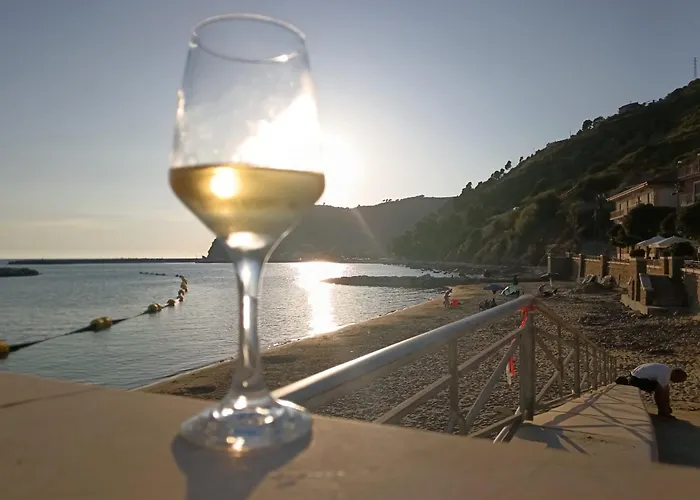 Ristorante Paisà. Cibo e Ospitalità