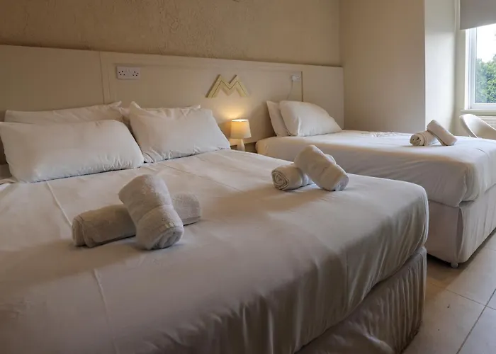 Msm Arena Hotel
