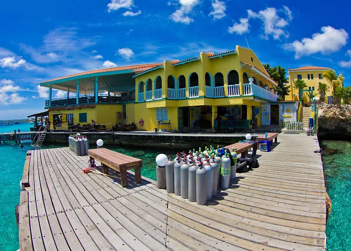 Buddy Dive Resort