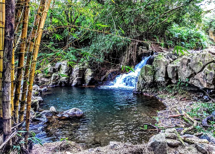 Hamakua Guesthouse
