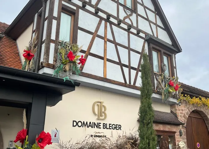 Domaine Bleger By Windmuehl