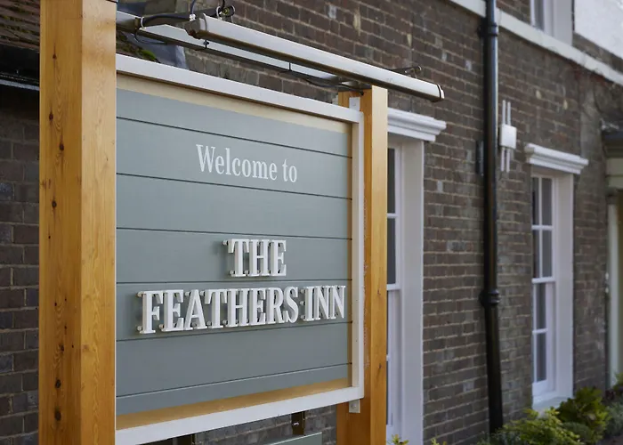 Feathers By Chef & Brewer Collection