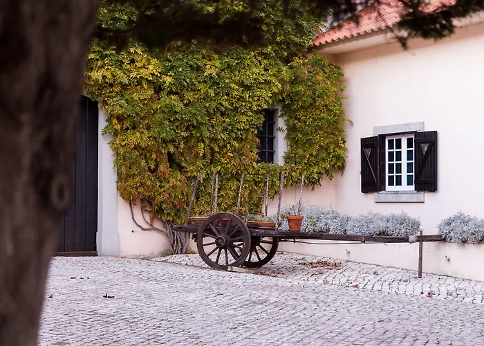 Quinta Do Covanco