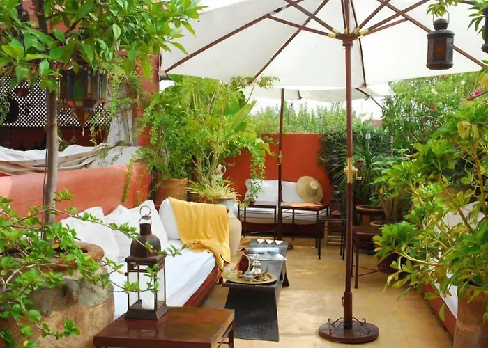Riad La Terrasse Des Oliviers