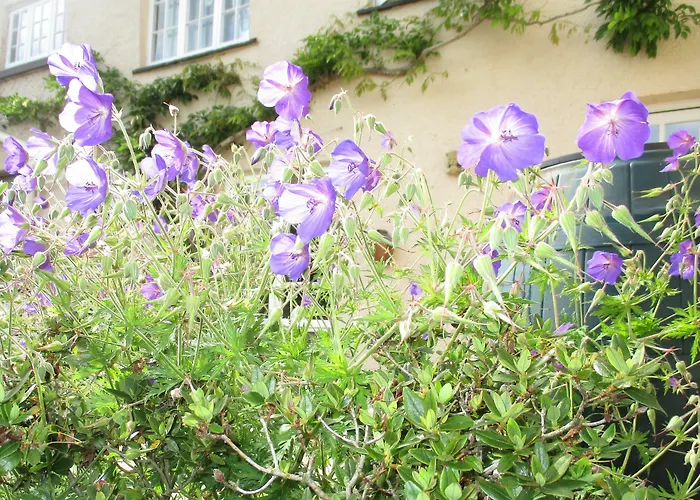 Brambles Bed And Breakfast