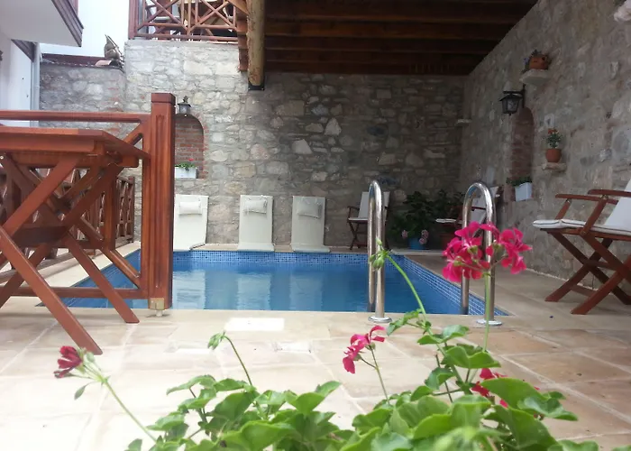 Amazon Petite Palace