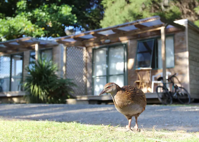 Russell-Orongo Bay Holiday Park