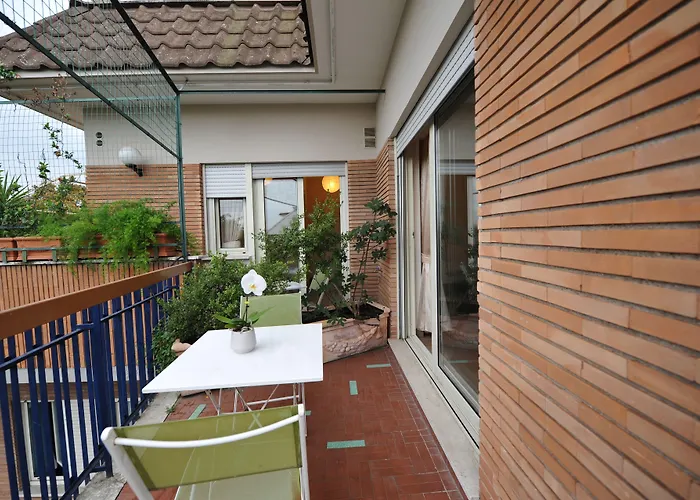 Zaccardi Roof Garden