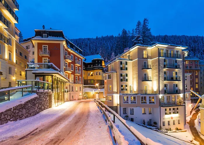 Ski Lodge Reineke