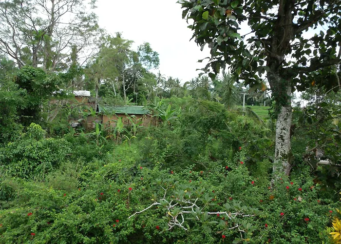 Wenara Bali Bungalows Ubud 