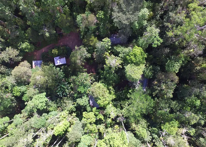 Crater Lakes Rainforest Cottages