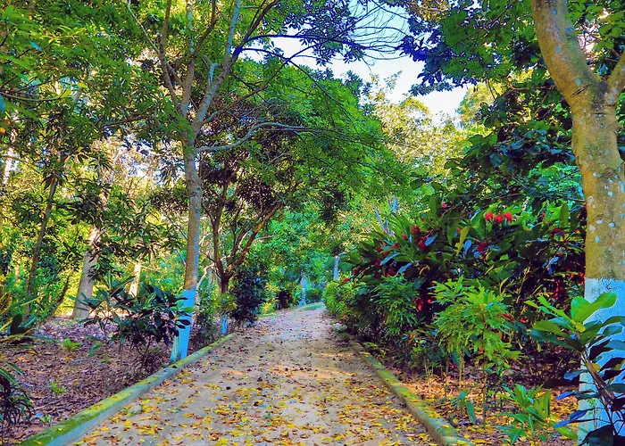 Villa Maria Tayrona, Jungle&Sea Experience