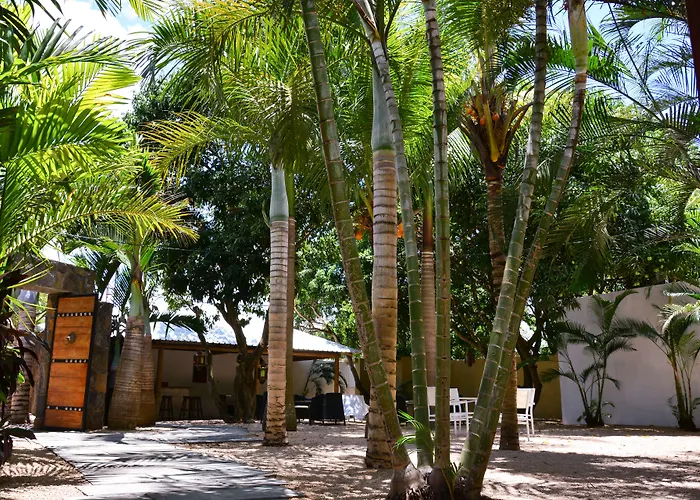 La Margarita