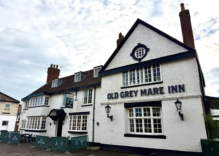 Old Grey Mare