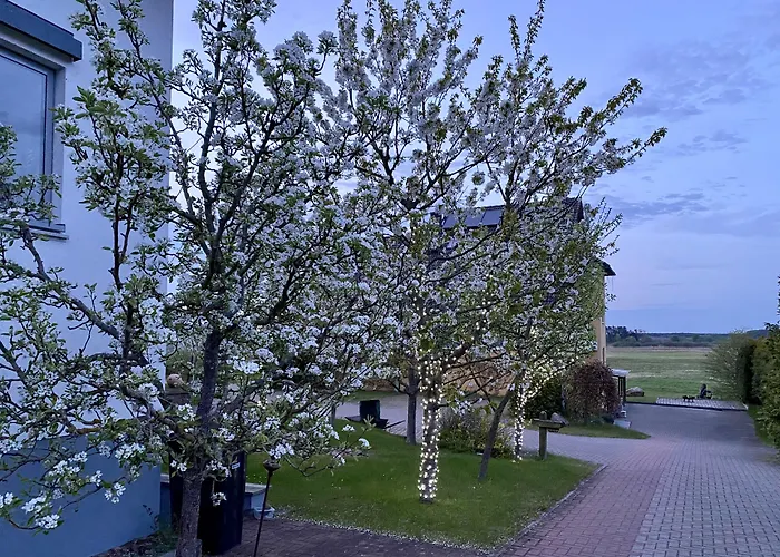 Hotel Am Mueritz-Nationalpark