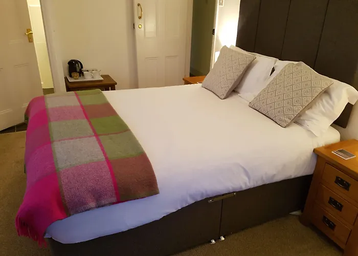 Ty Helyg Guest House