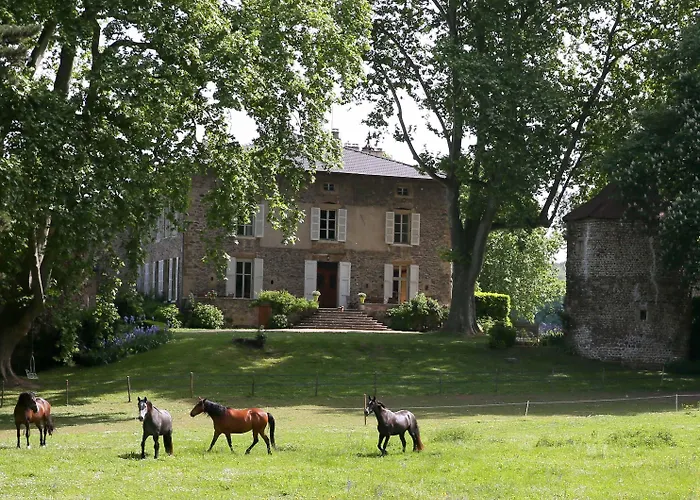 Domaine La Bonne Etoile