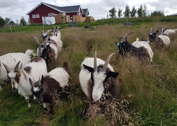 Skálatjörn Guesthouse