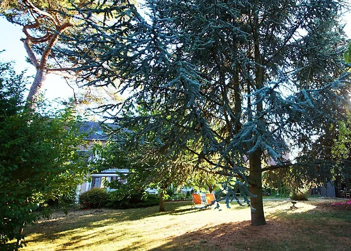 La Salamandre Beauvais