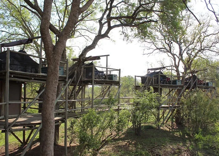 Rhino Walking Safaris Hotel Skukuza