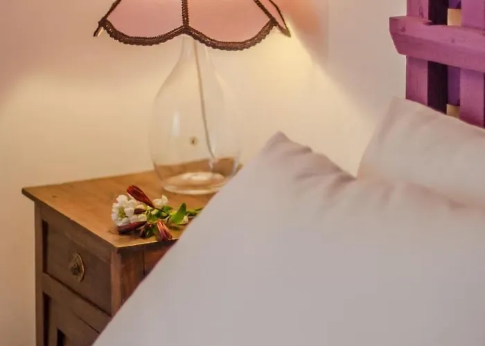 Baga De Sal Wine Guesthouse Aveiro