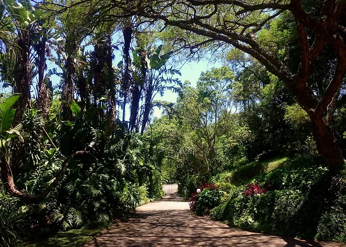 Africa'S Eden Guesthouse Pietermaritzburg