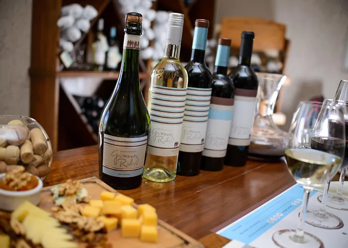 Casa De Huespedes Bodega Gimenez Riili