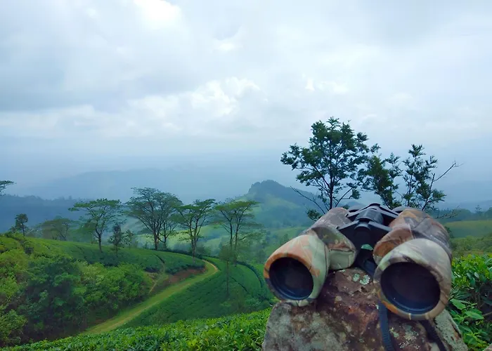 Simpson'S Forest - Luxury Boutique Resort & Spa - Kandy