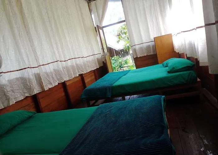Bua Guesthouse Tangkahan