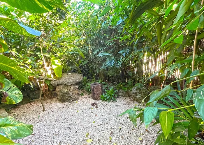 Cabañas Alma Verde Bacalar