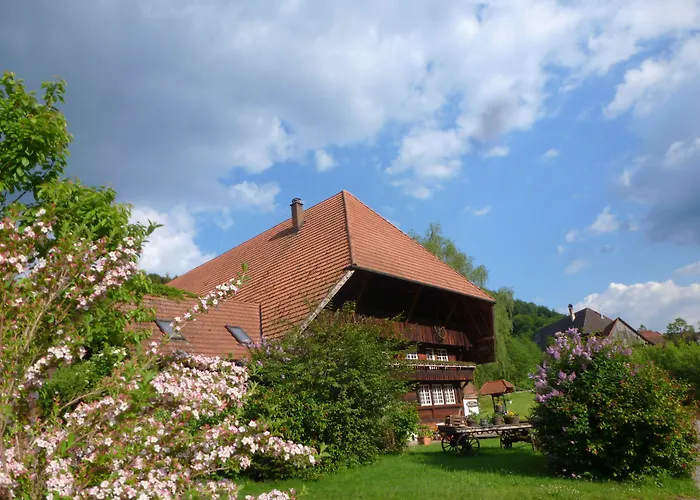 Hotel Rommelehof Gutach