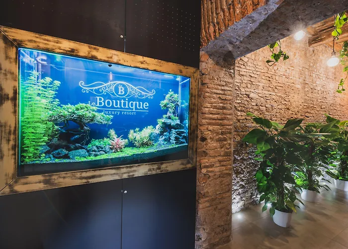 Le Boutique Luxury Rooms Diffused In Historical Center