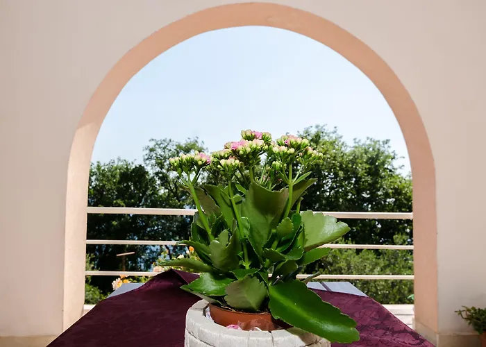Villa Barbara Mlini