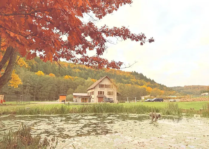 Maison d'hôtes en pleine nature avec chevaux
