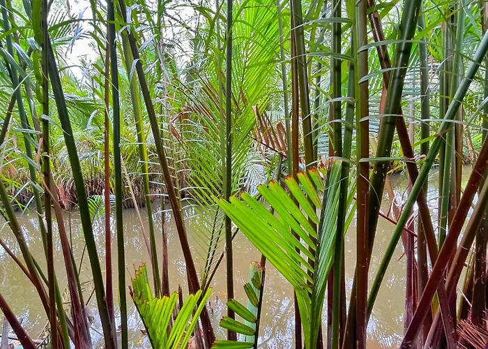 Nary Garden Hotel Kampot