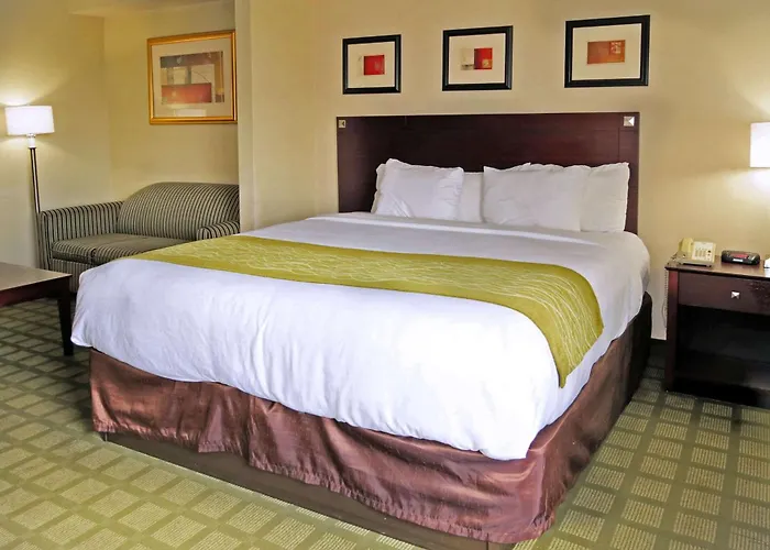 Comfort Inn Southwest Fwy At Westpark
