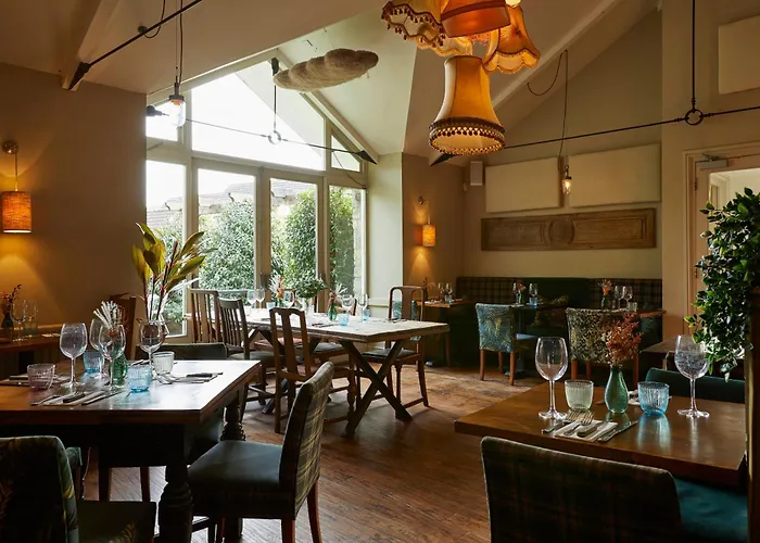 The Swan