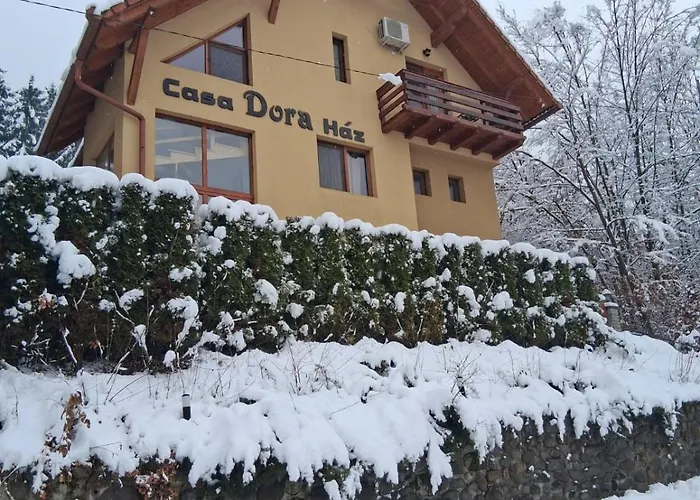 Casa Dora Hotel Sovata