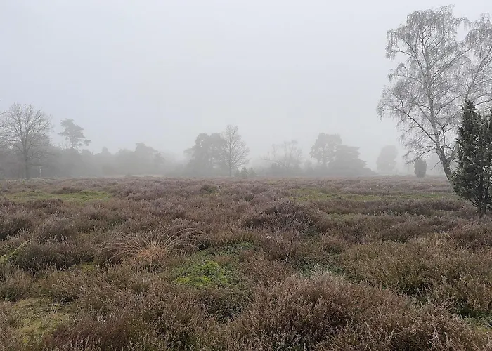Bed&Breakfast Het Vinkenest Nijverdal