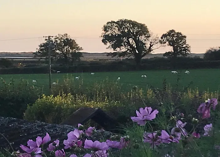 Dale View Bed & Breakfast