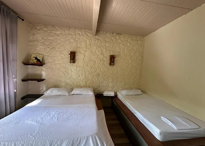 New Western Llanos Stay Acacías