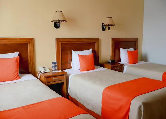 Hotel Báez Carrizal