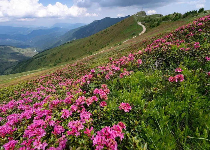 Rifugio Ca' Da Cardella Hotel Mendatica