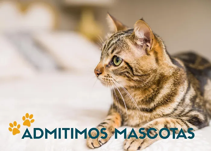 Complejo Tamanaco Illa de Arousa 3000
