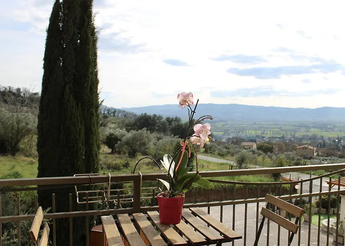 Viole Country Hotel