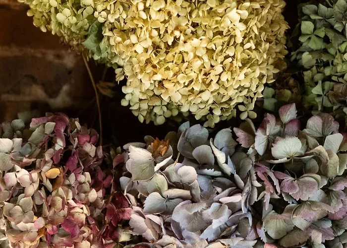 Au Fond Du Jardin Maison D'Hotes Saint-Saëns